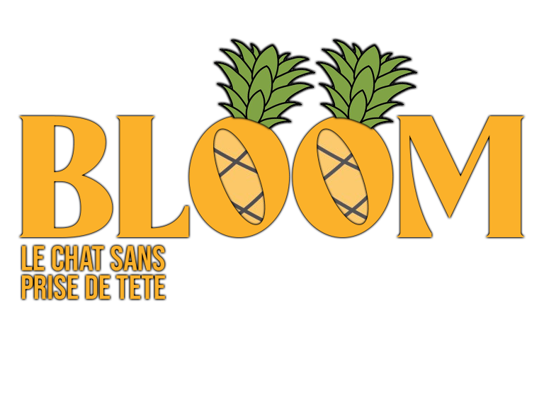 Bloom - Le tchat sans prise de tête